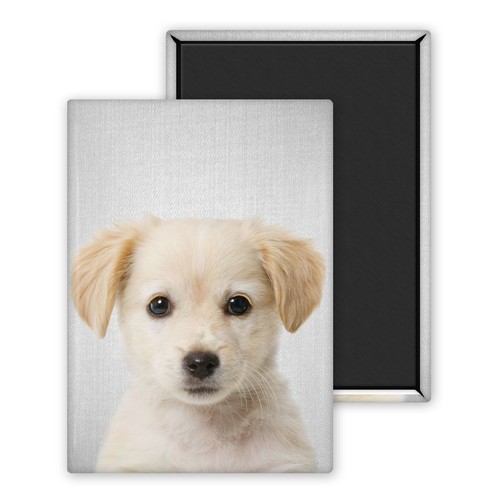 Chiot golden retriever magnet - chiot,