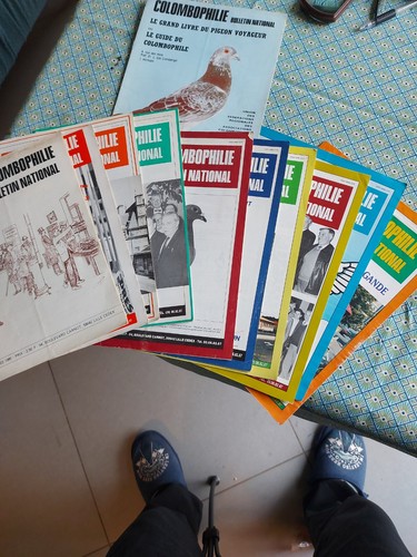 Colombophilie bulletin - colombophilie,