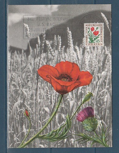 Frd carte fleur coquelicot - carte,