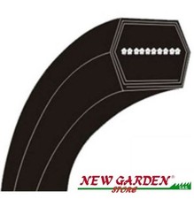 Courroie Hexagonale Tondeuse