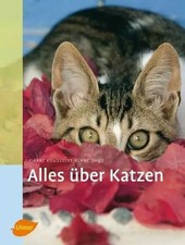 Alles über Katzen, Pierre