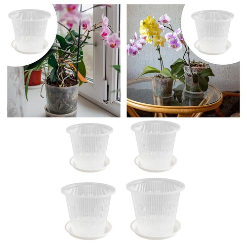 Pots avec trous drainage et - trous,