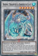 Yu-Gi-Oh! Brionac, Dragon de la Barrière de Glace : SR SDFC-FR043