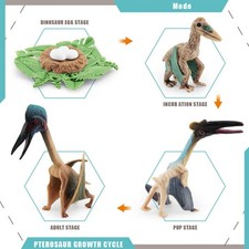 Jouet éducatif précoce de jeu de croissance de dinosaure réaliste pour le