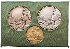 MED 2029. Médaille Plaque de