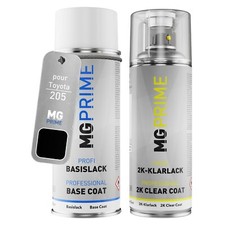 Peinture voiture kit bombe