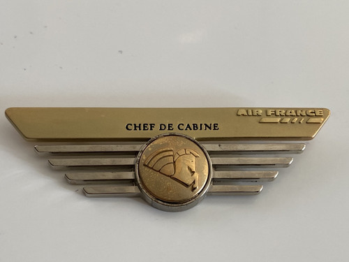 Pin magnifique broche air - pin's,