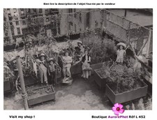 CULTURES DE LÉGUMES EN CAISSES SUR LES TOITS DE NEW YORK, 1945 -L452