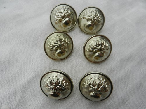 Lot boutons militaires - boutons,