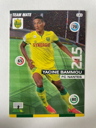 Panini axl ligue - axl,