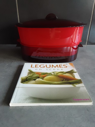 Cocotte ovale cuit - cocotte,