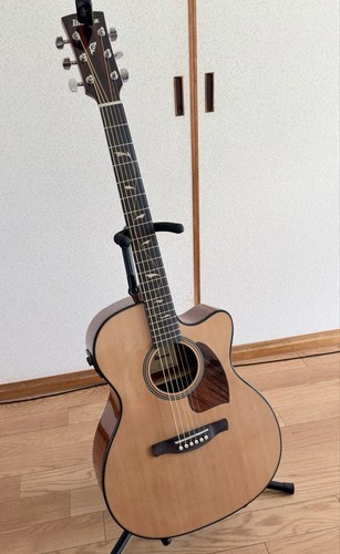 Guitare acoustique électrique