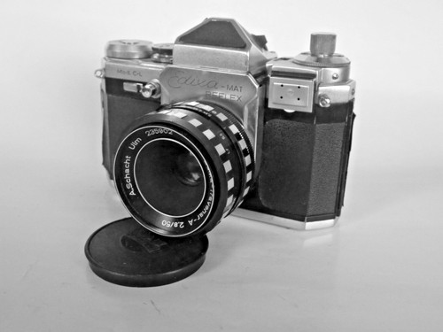 Wirgin edixa mat - reflex,