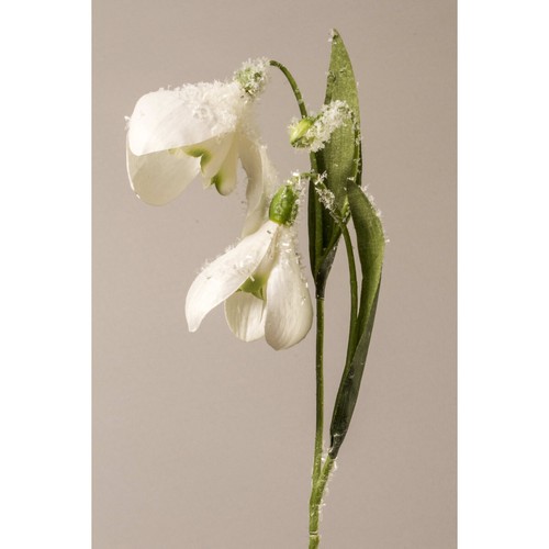 Perce neige cm - 50,