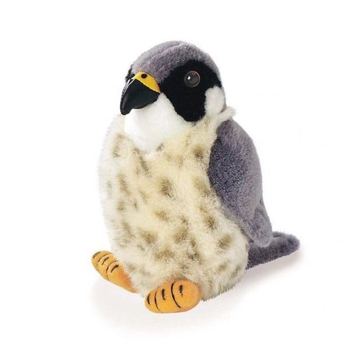 Peluche sonore faucon pèlerin - peluche,