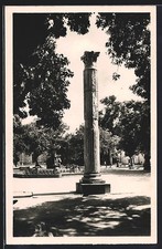 CPA Cherchell, Colonne Romaine