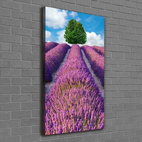 Tulup tableau sur toile image - tableau,