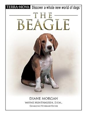 The beagle - beagle, (terra-nova)