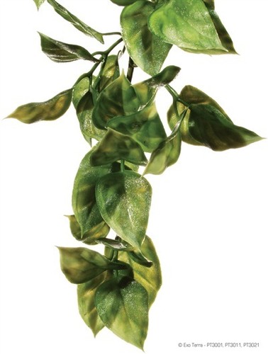 Exo terra reptile plastic - exo,