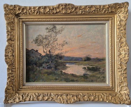 Hippolyte boulenger - hippolyte,