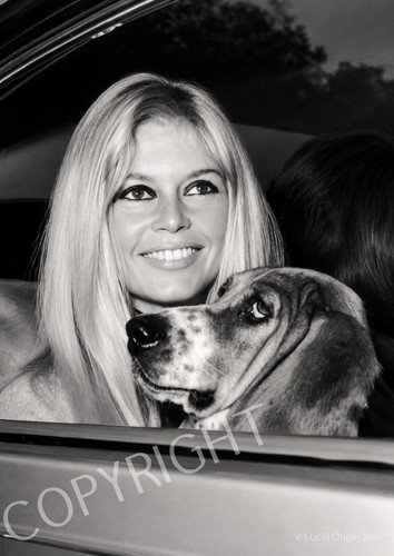 Photo brigitte bardot - brigitte,
