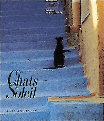 Les chats soleil hans - du, soleil,