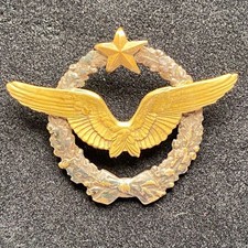 Insigne brevet pilote - de,