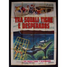Affiche Tra Squalis Tigre Et