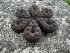 15x  Plombs Carpe gripp 205g G