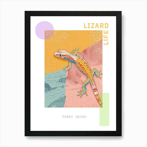 Coral tokay gecko - coral,