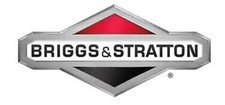Série Segments ORIGINALE BRIGGS & STRATTON 690014