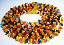 LOT-10 Baltique Ambre Colliers