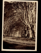 Écosse, Allée à Taymouth