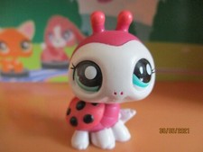 Petshop Coccinelle #1988