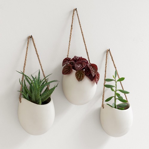 Pots fleurs muraux ellie - pots,