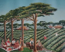 Belle Lithographie De Mady De La Giraudière" Scène De Vendanges" Numérotée signé