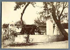 Ancienne meule à grains  Vintage citrate print.  Tirage citrate  11x16  Ci