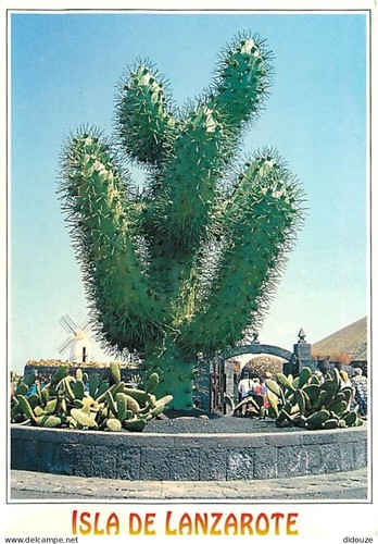 Carte postale fleurs - carte,