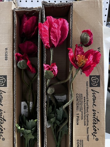 Box lot poppy - stunning, home