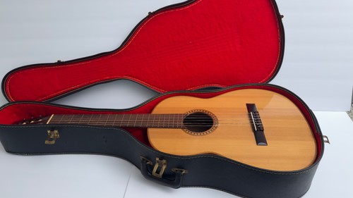 Giannini acoustic guitar