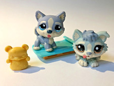 LPS Littlest Pet Shop - Blue & White mommy & baby HUSKY #1683 #1684