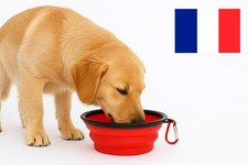 Gamelle Chien Chat Portable