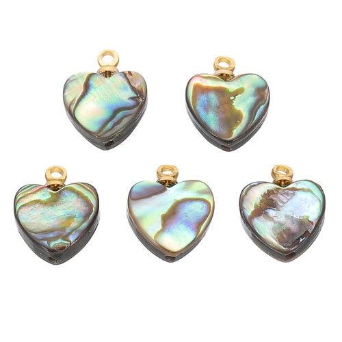 Pour abalone shell charm 5 - shell,
