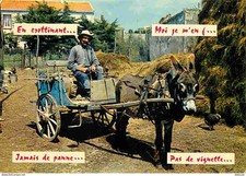 Animaux - Anes - Attelage - Paysan - CPM - Voir Scans Recto-Verso