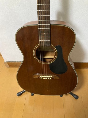 Guitare acoustique électrique