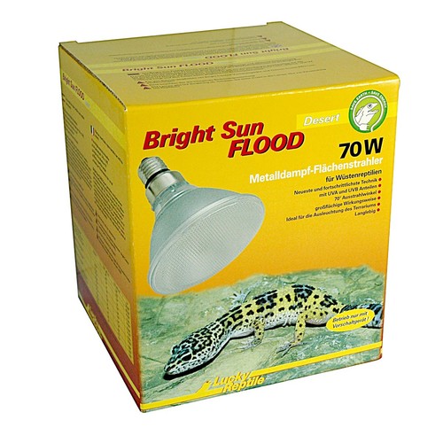 Lucky reptile bright sun flood - lucky,