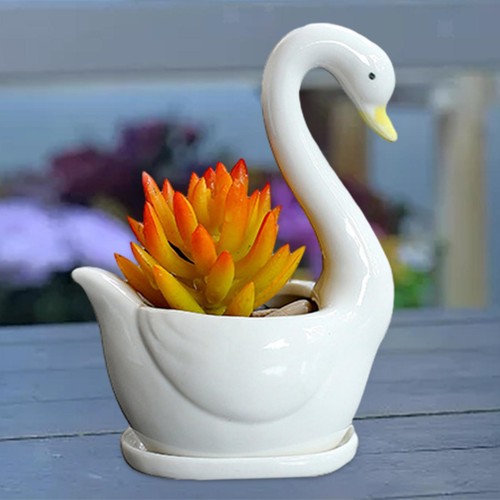 Pot fleur céramique de - de,