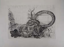 Pierre-Yves TREMOIS : Serpent et Crapaud, Gravure originale signée