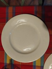 6 assiettes  blanche digoin dia 23 cm