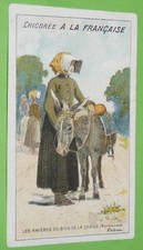 CHROMO 1890-1910 CHICOREE